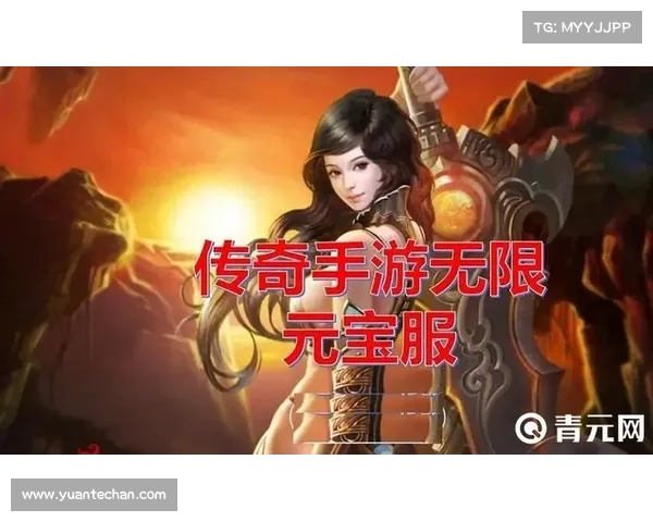 无限元宝手游公益服