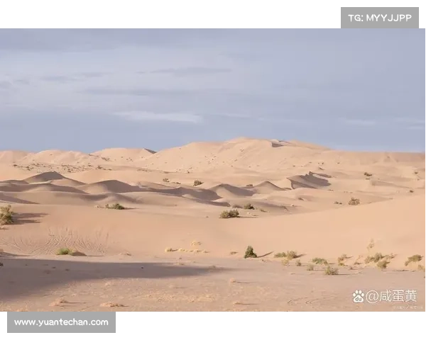 沙漠旅途保卫攻略,智勇双全克敌制胜 沙漠旅途保卫攻略,智勇双全克敌制胜