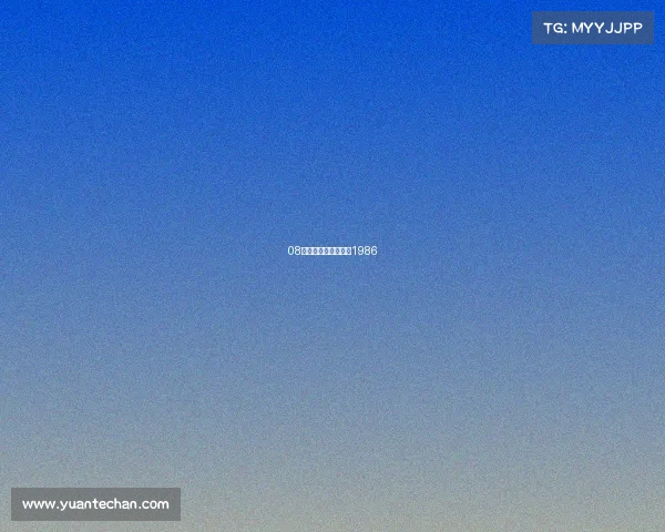 08电子竞技—电子竞技1986 08电子竞技—电子竞技1986