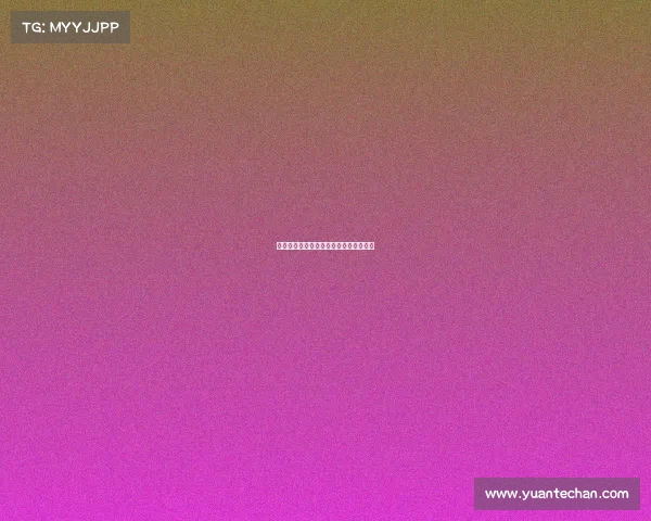 《驿路竞新程：北京邮大电竞逐梦录》》