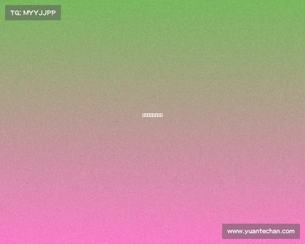 星月电子有限公司